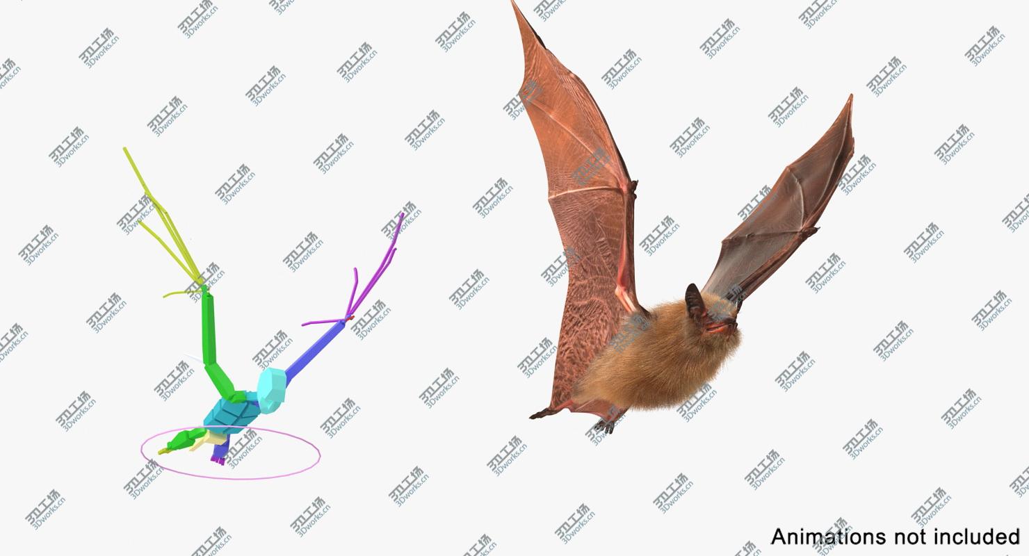 images/goods_img/2021040162/Bat with Fur Rigged/5.jpg